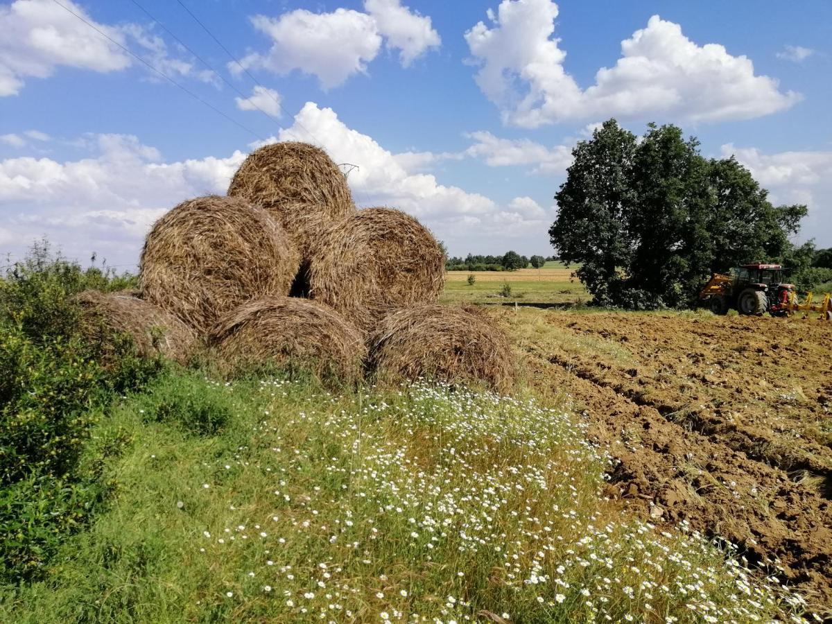 Hotel Rural Lajafriz Fornillos de Aliste Buitenkant foto